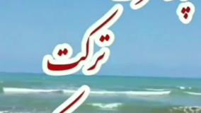 پدیده گوستینگ یا ترک ناگهانی پارتنرت