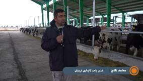 آیین بهره برداری از سالن فری استال دامپروری موقوفات ملک فریمان