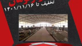 300 هزارتومان تخفیف خرید دام وارداتی