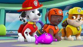 انیمیشن جذاب سگ نگهبان