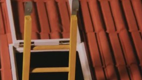 انیمیشن جذاب پت و مت