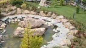 طراحی و اجرای روف گاردن