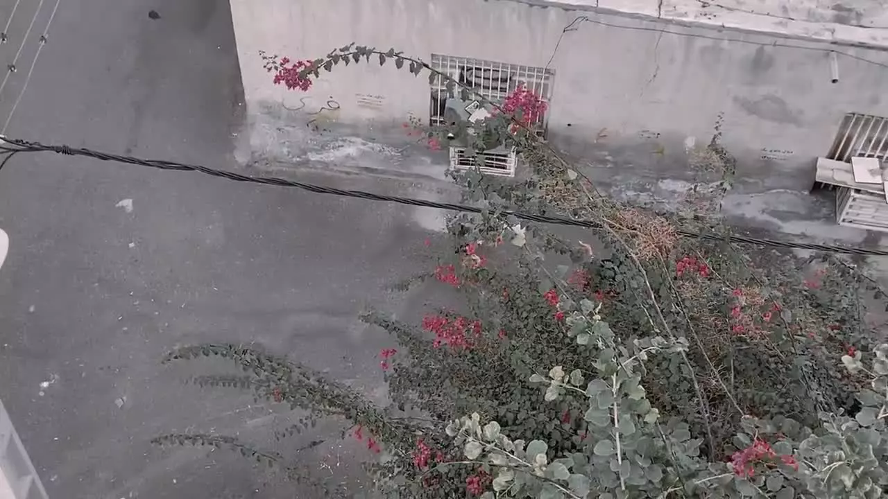 بریم سمت شادی