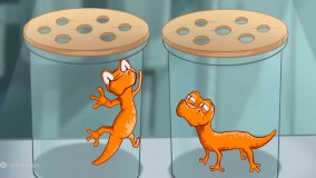 انیمیشن رینبو فرندز: سرگذشت نارنجی