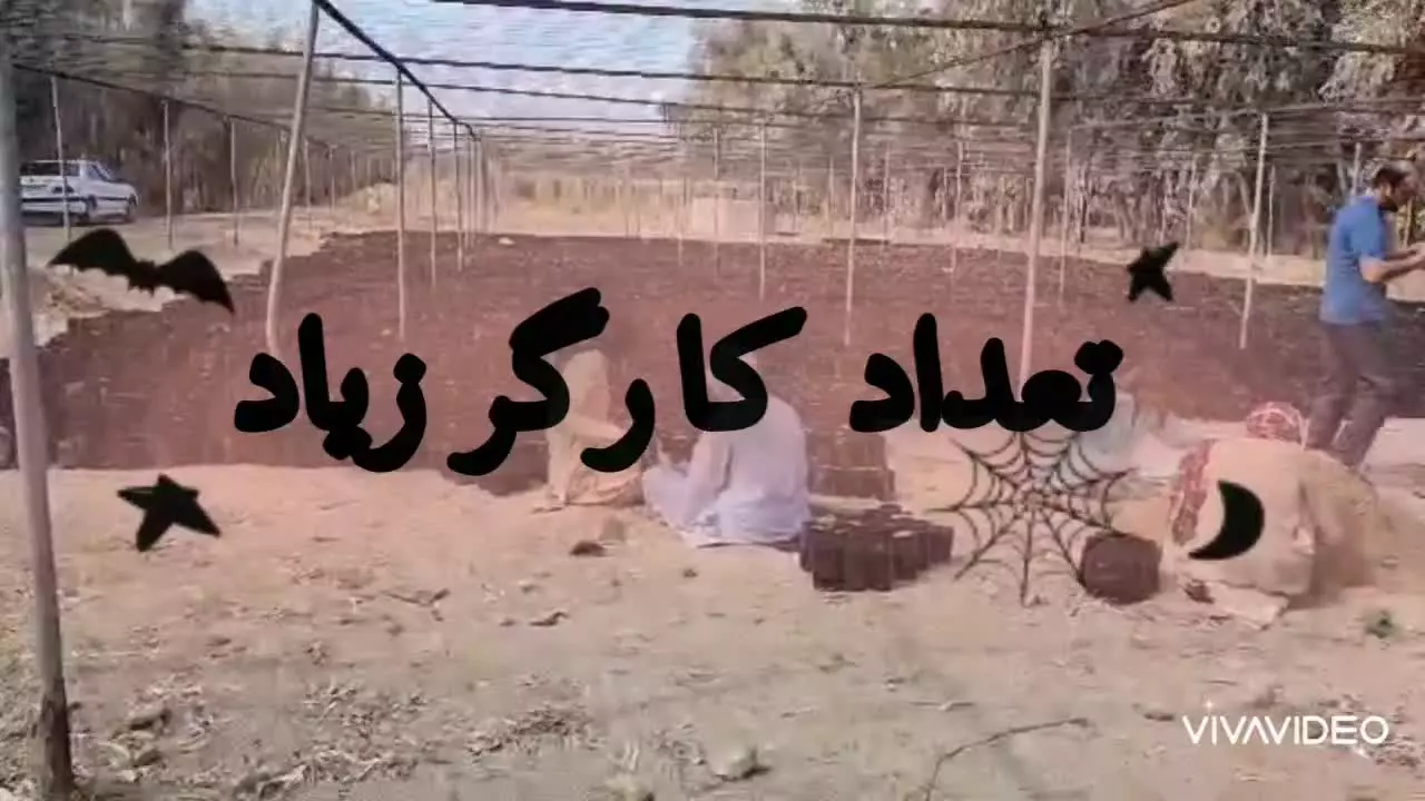 پرکن نهالستان-نصب و راه اندازی ماشین پرکن تیداپارس در پژوهشگاه زابل