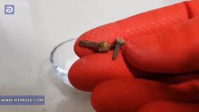 راهکاری عالی برای خوشبو کردن جاروبرقی مخزن دار