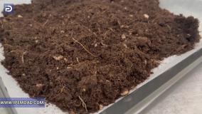 افزایش کیفیت خاک گلدان با فر اجاق گاز!