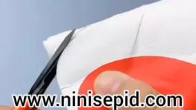 کاردستی ماهی