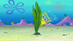 انیمیشن باب اسفنجی: قایم شدن