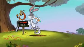 انیمیشن لونی تونر جدید