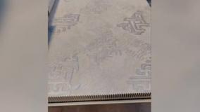 آلبوم کاغذ دیواری نئوست از EXON