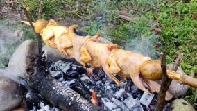 آشپزی در طبیعت - کباب بلدرچین