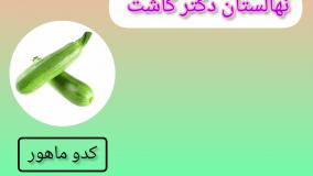 فروش بذر کدو ماهور