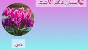 فروش عمده گیاه لامن و انواع گیاهان زینتی