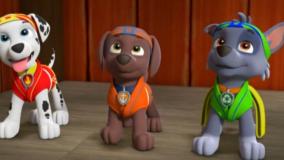 سگ‌های نگهبان - پاپ فو