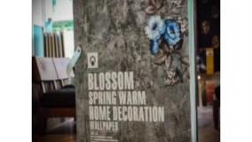 آلبوم کاغذ دیواری بلوسوم BLOSSOM