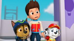 سگ‌های نگهبان - پنگوئن ها