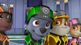 سگ‌های نگهبان - در جستجوی تاج