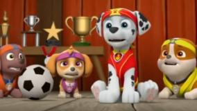 سگ‌های نگهبان - نجات استاد یومی