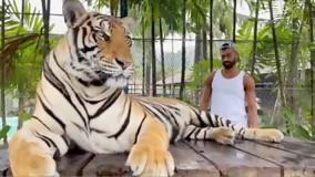 حضور رامین رضاییان در قفس ببر