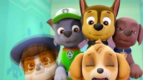 سگ‌های نگهبان