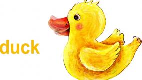 آموزش حروف انگلیسی با شعر - حرف D