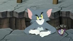 انیمیشن تام و جری