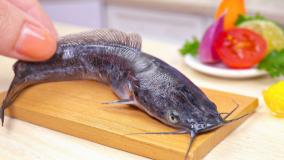 گربه ماهی تنوری مینیاتوری