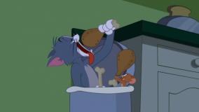 انیمیشن تام و جری