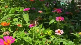 خانه‌ای برای سفر به دوره قاجار