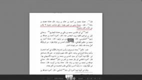 محدثین اهل سنت ( آیت الله حسینی قزوینی )