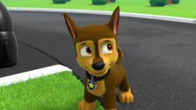 کارتون سگ های نگهبان - نجات سمورها