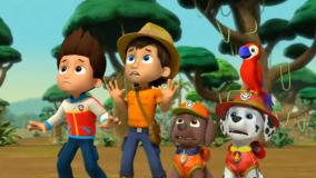 سگ های نگهبان - طوطی هاپویی