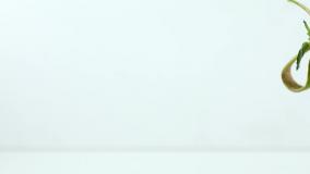 ویدئو طرز تهیه شیک طالبی