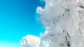 سفر مجازی به طبیعت زمستانی دره تخت