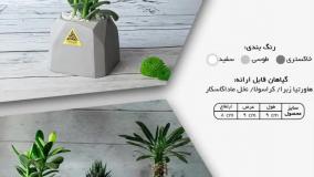 هدایای خلاقانه سازمانی