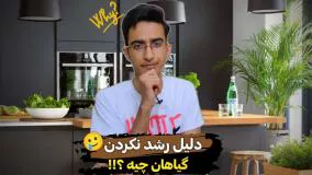 چرا گلم رشد نمیکنه؟ | همه چیز در مورد گل و گیاه