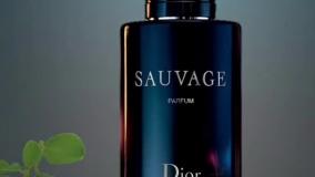 عطر ادکلن دیور ساواج (ساوج) الکسیر | Dior Sauvage Elixir