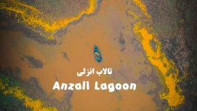 تالاب انزلی | قایق ماهیگیری در تالاب انزلی