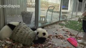 وقتی میخوای خونه رو تمیز کنی ولی بچه هات نمیزارن 😂😂