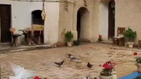 خونه هر چی که باشه باید سبز باشه