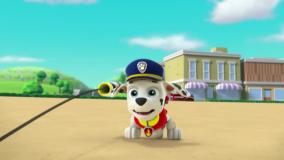 کارتون سگهای نگهبان ،انیمیشن سگهای نگهبان