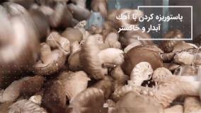 آموزش پرورش قارچ دکمه ای و قارچ خوراکی