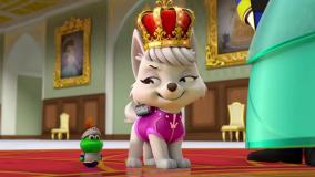 کارتون جذاب سگهای نگهبان جدید | دانلود سگ های نگهبان دوبله فارسی قسمت جدید