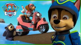دانلود کارتون جدیدسگهای نگهبان گروه عملیات و نجات: پاو پاترول | سگ نگهبان جدید
