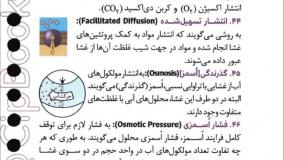 خرید کتاب زیست دهم لقمه مهروماه