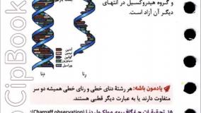 خرید کتاب زیست دوازدهم لقمه مهروماه