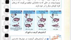 خرید کتاب زیست دوازدهم جیبی نکته باز خیلی سبز