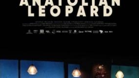 سینمایی پلنگ آناتولی
