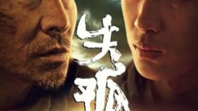 سینمایی عشق گمشده